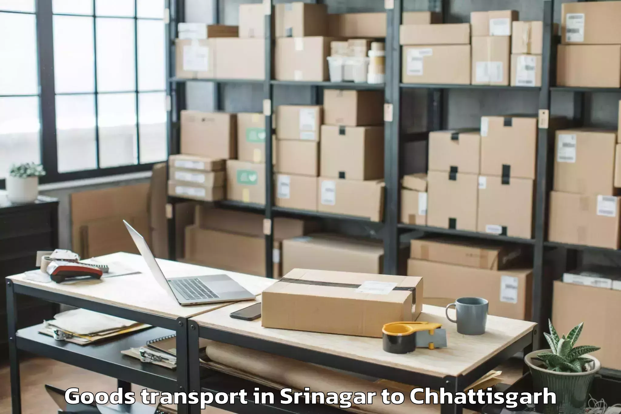 Leading Srinagar to Sakti Goods Transport Provider